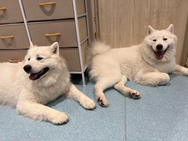サモエドカフェ アル 名古屋栄店の写真 1