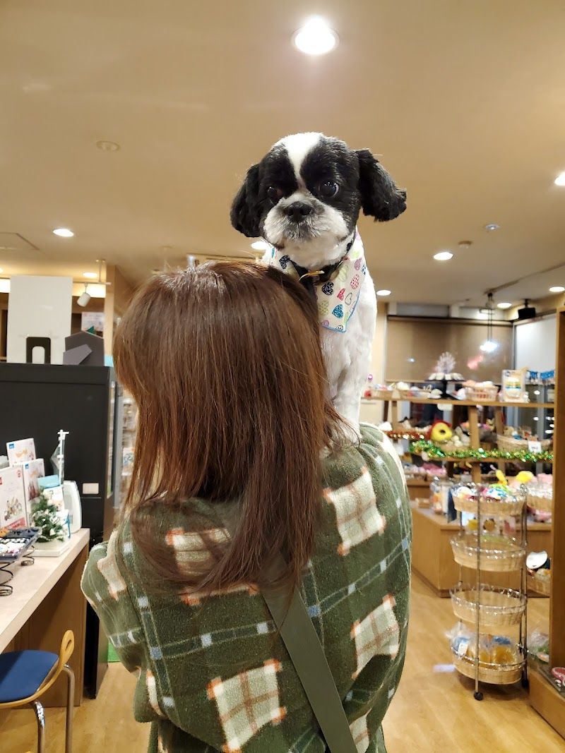 ペットショップボビー札幌本店の写真 2