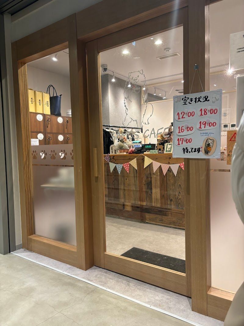 サモエドカフェ SAMOS CAFE 仙台店 | Samoyed Cafeの写真 1