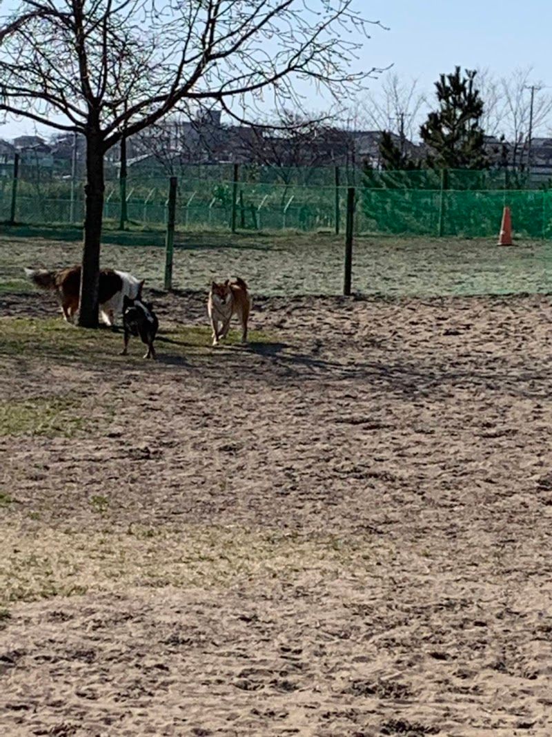 島見緑地公園ドッグランの写真 1