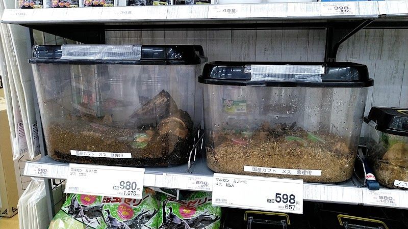 クリスタルドッグ DCM永山店の写真 3