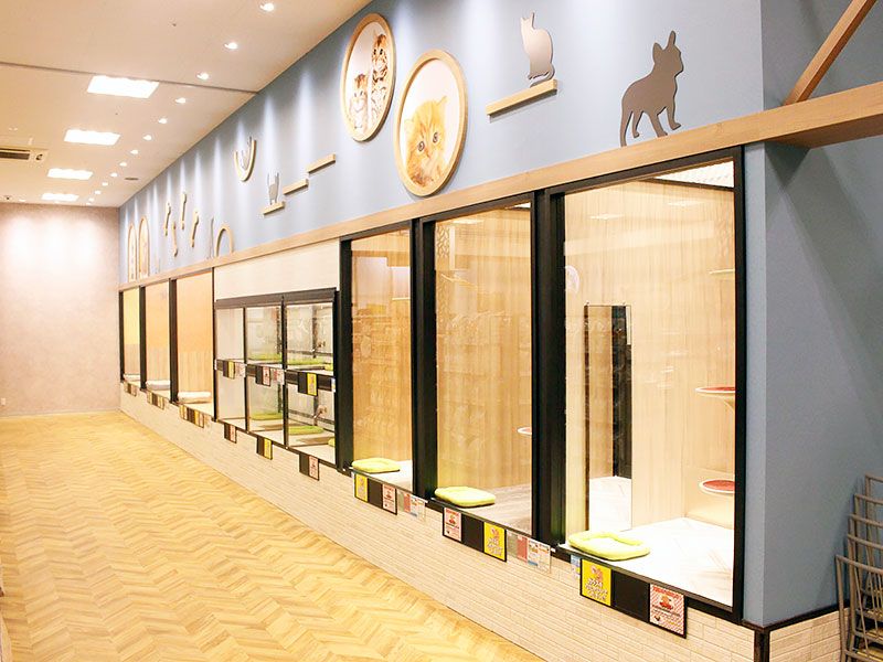 ペットショップワンラブ イオン手稲山口店の写真 3