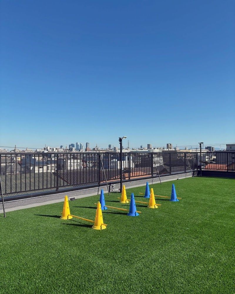 Dog cafe FLAT /ドッグカフェ フラットの写真 3