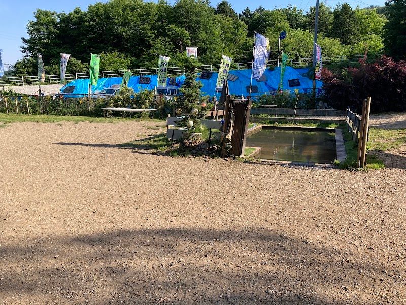 ドッグラン village peopleの写真 2