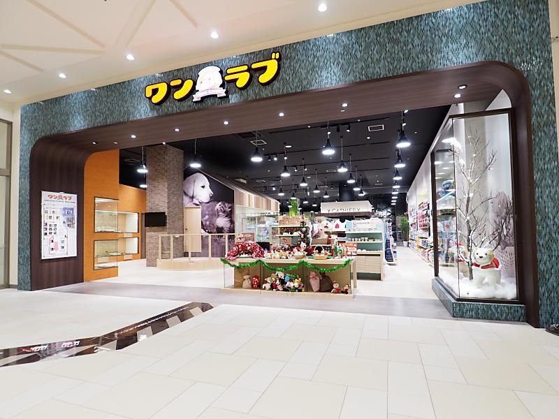 ペットショップ ワンラブ モレラ岐阜店の写真 1