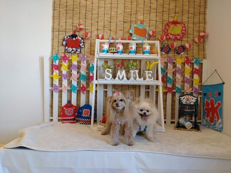 ペットのスマイル徳重店・スマイル室内ドッグランの写真 2