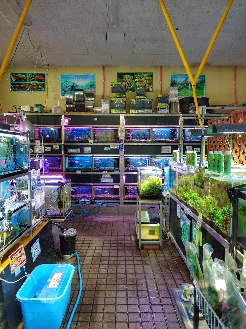 手取フィッシュランド 福井店の写真 2