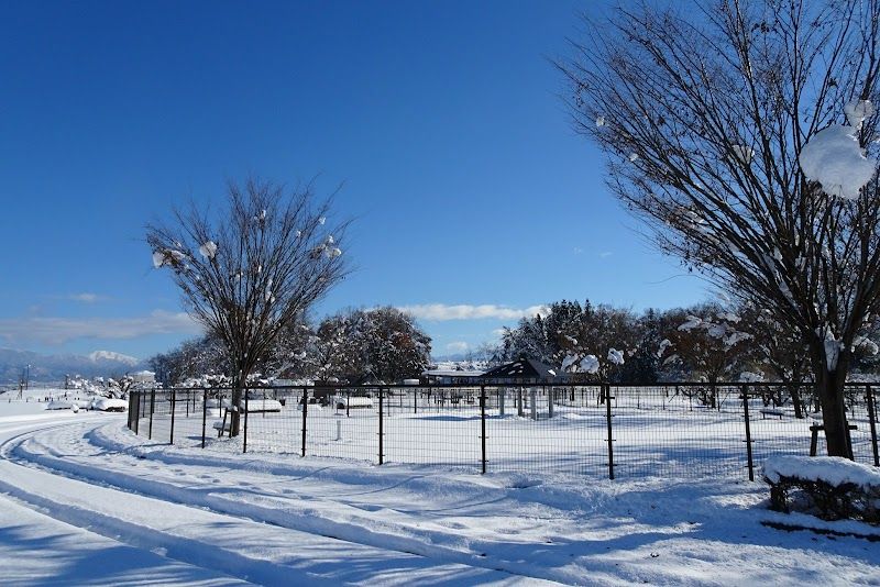 最上川ふるさと総合公園 ドッグランの写真 3