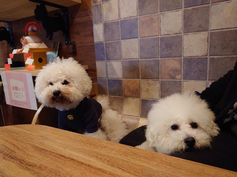 ペットホテル with DOG（トリミング サロン、ドッグカフェ）の写真 3