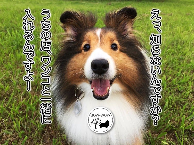 ドッグカフェ BOW WOWの写真 3