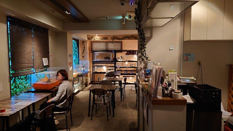 エキゾチックアニマルカフェRicky福島店の写真 1