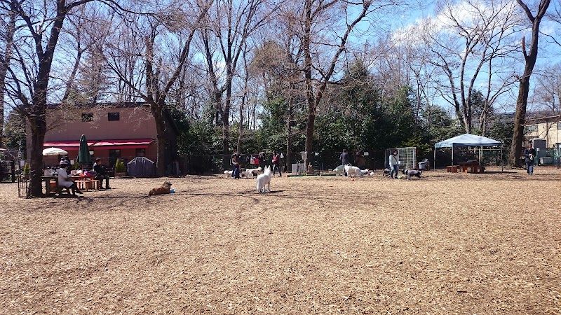 ゆりはなドッグランの写真 2