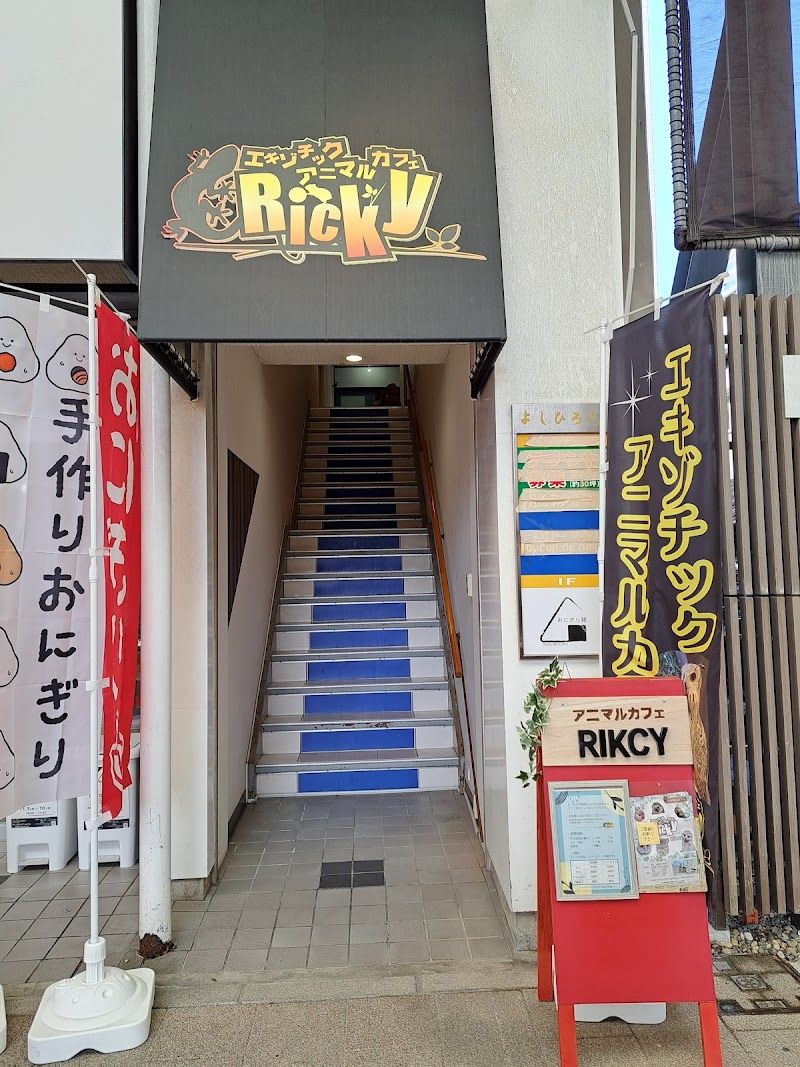 エキゾチックアニマルカフェRicky新潟店の写真 1