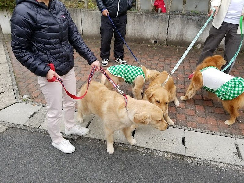 リフドッグクラブの写真 3