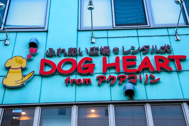 DOG HEART from アクアマリンの写真 1