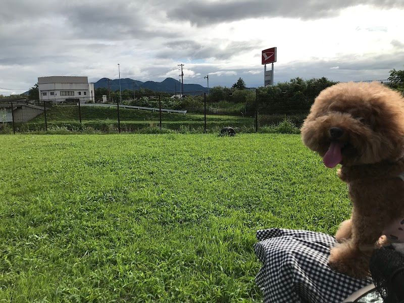 ケアペッツ盛岡の写真 2