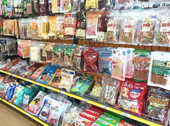 【幸せみつかるPetshop】 ハバナデーの写真 1