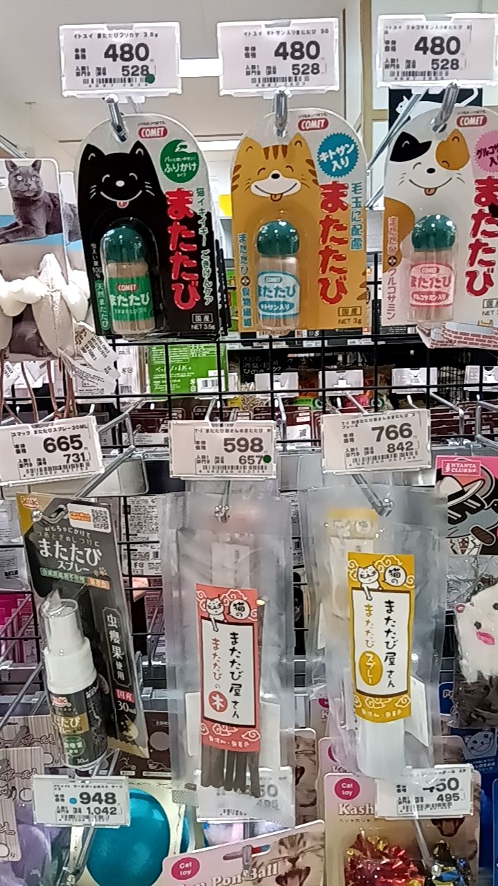 ペテモ新利府 北館店の写真 3