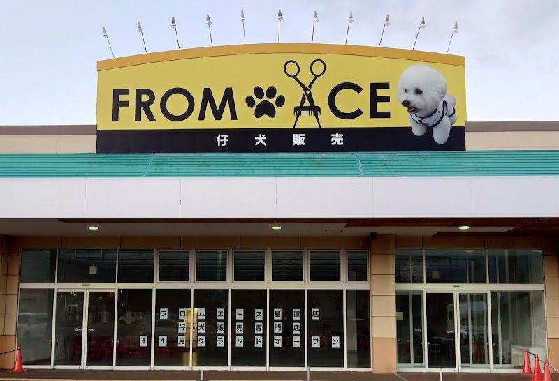 フロムエース星置店の写真 1