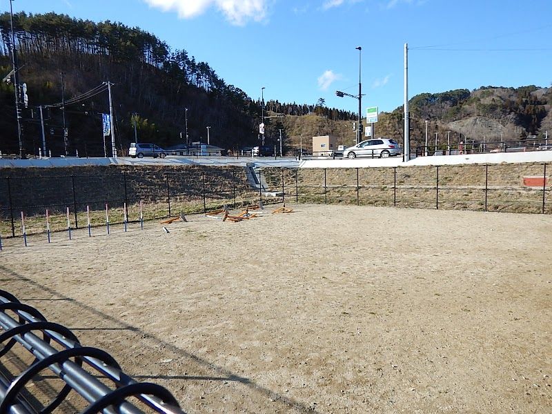 ドッグラン ワンたろうの写真 2