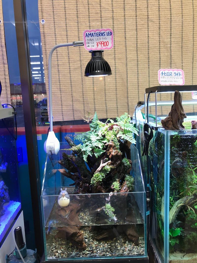 ペットエコ 松森店の写真 3