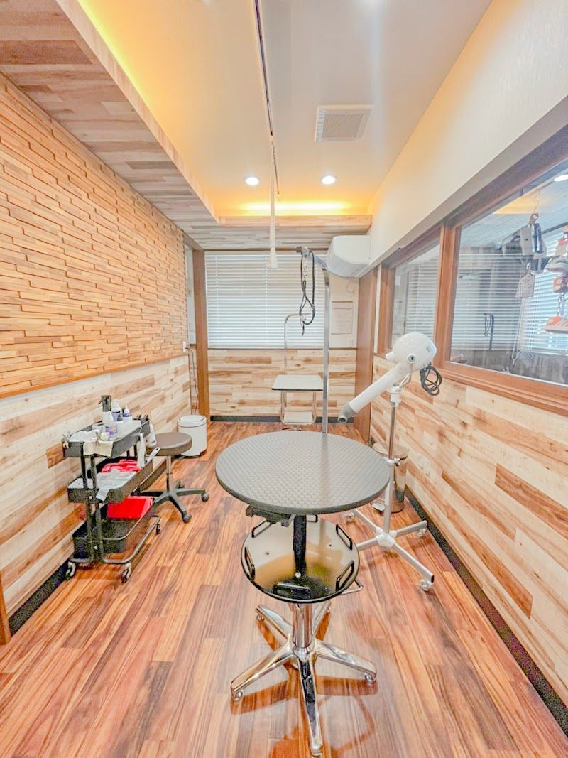 ドッグサロン cafe cocoa's world (カフェココアズワールド)の写真 2