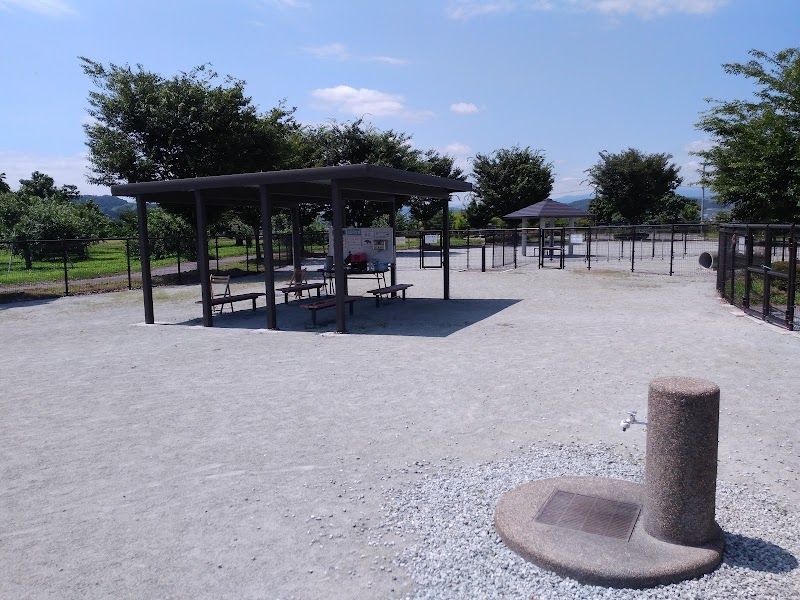 最上川ふるさと総合公園 ドッグランの写真 1