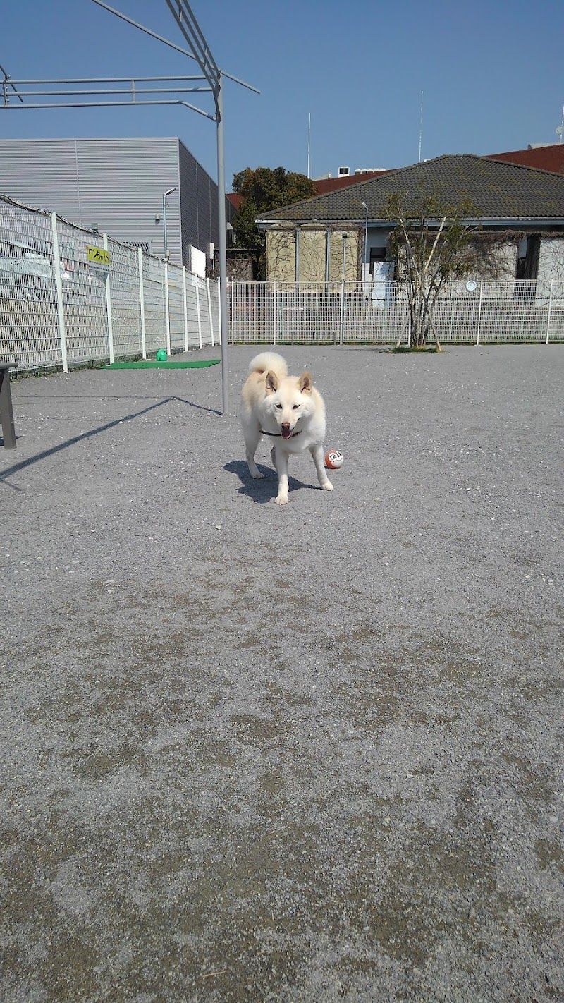 AOZO-RUNの写真 1
