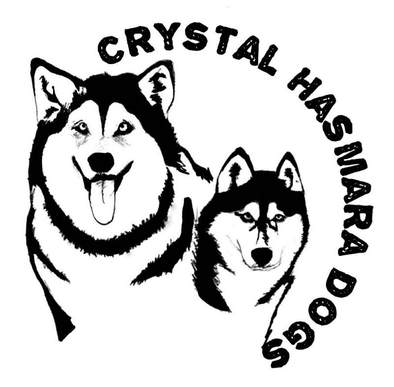 Crystal HasMara Dogsの写真 3