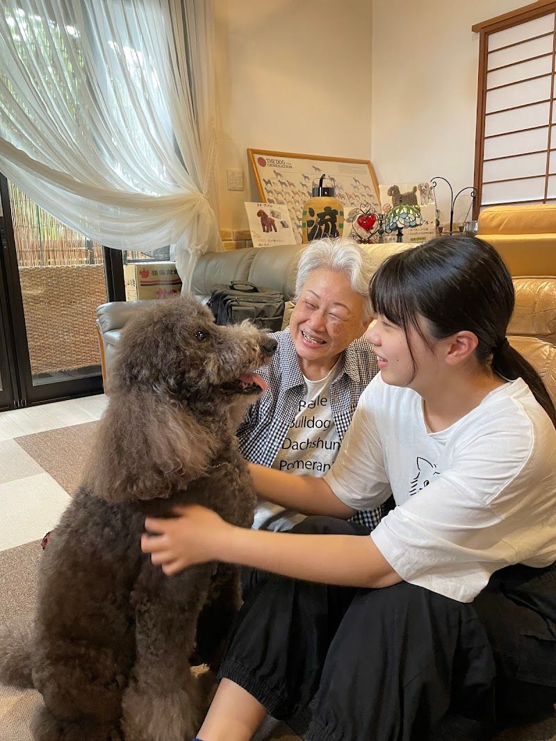 犬カフェ カタノダプラスの写真 3