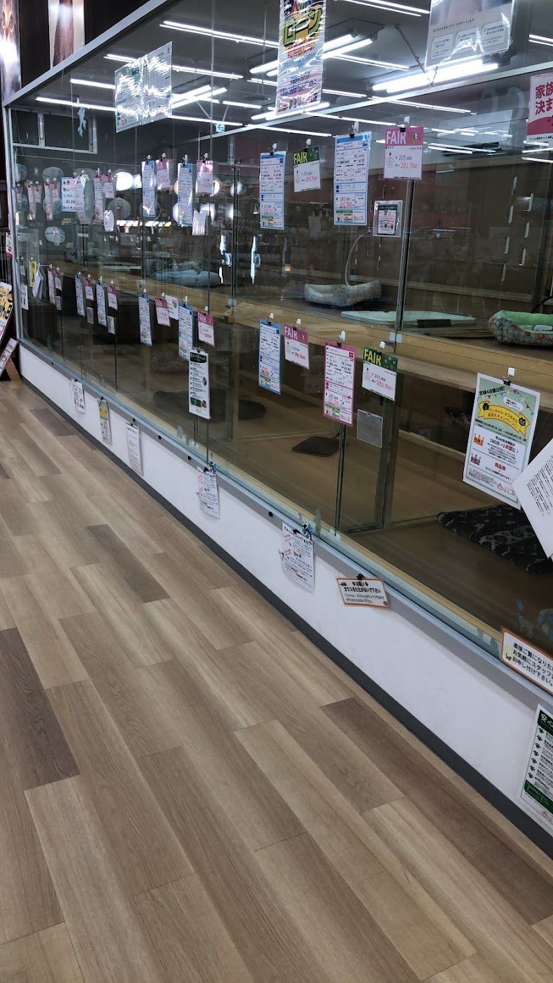 ペットショップふしみ ディスワン柳生店の写真 2