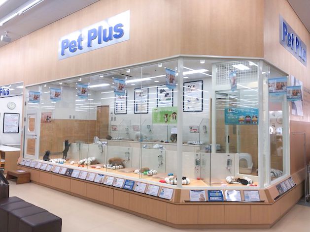 ペットプラス 青森浜田店の写真 1