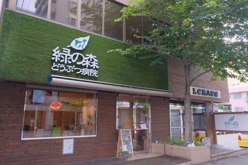 緑の森どうぶつ病院 さっぽろ病院の写真 1