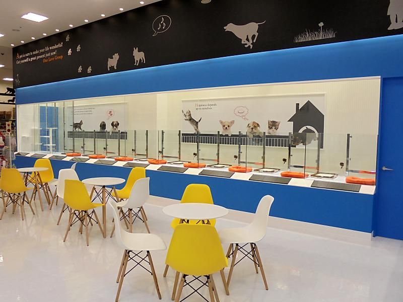 ペットショップ ワンラブ イオンモール盛岡店の写真 3