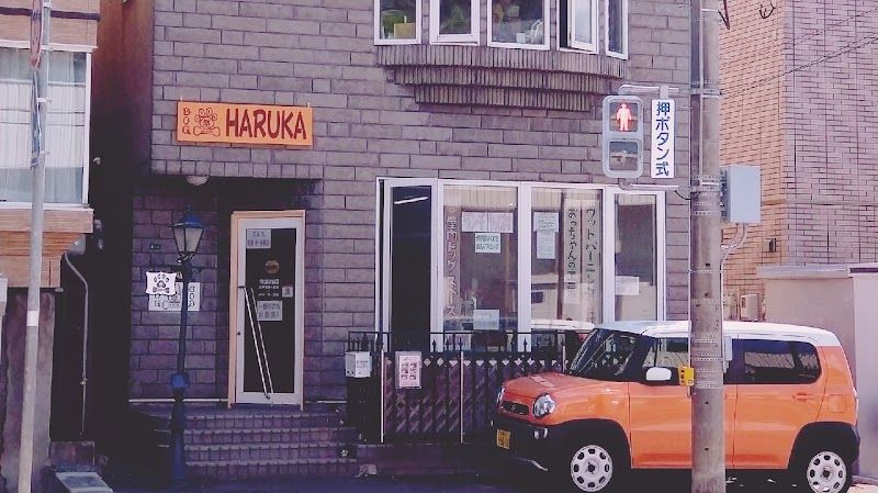 ドッグカフェ 悠HARUKAの写真 1