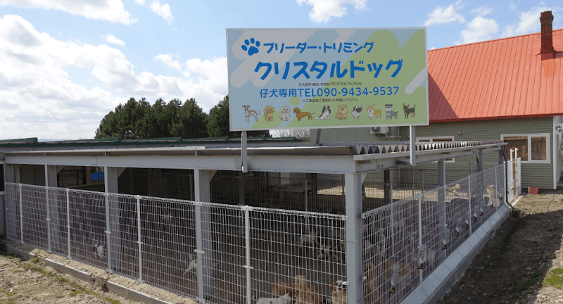 クリスタルドッグの写真 2