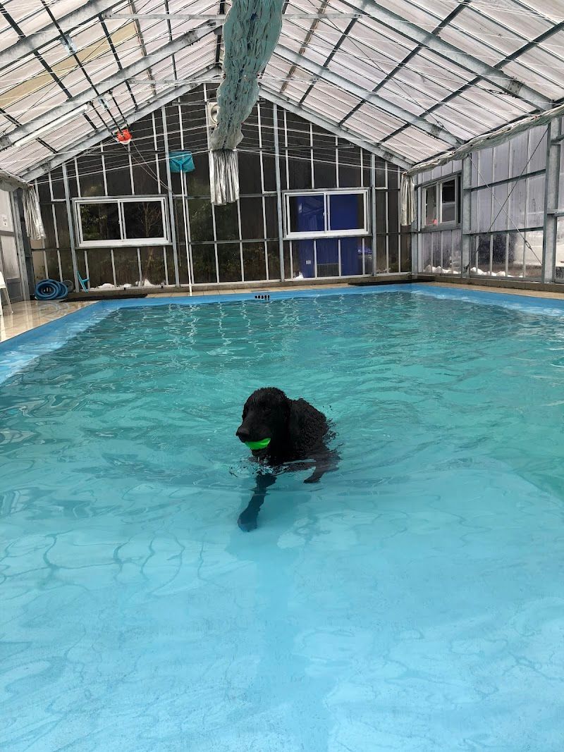 Doggy Park BELL HOUSE ドギーパーク ベルハウスの写真 2
