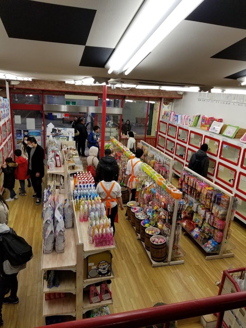 ペットショップWAN札幌店の写真 2