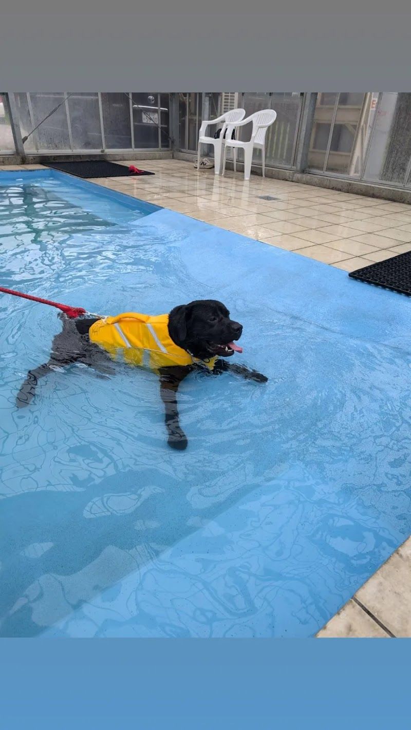Doggy Park BELL HOUSE ドギーパーク ベルハウスの写真 1