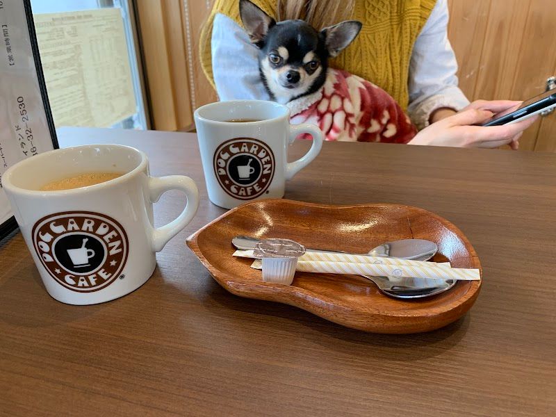 サーブアイランドの写真 2