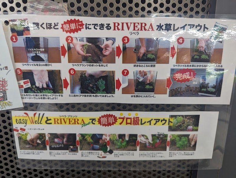 ペットショップ 犬の家＆猫の里 アミーゴ山室店の写真 3