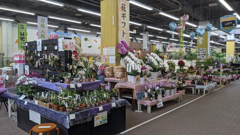 ジョイフルエーケー 大曲店の写真 2