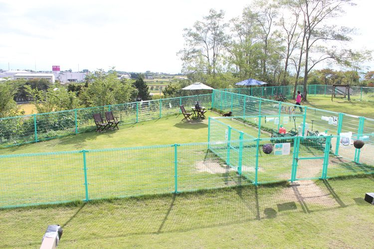 わんわんランドひわだの写真 1