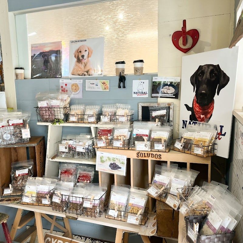 Labrador Retriever （ラブラドールレトリバー）の写真 2