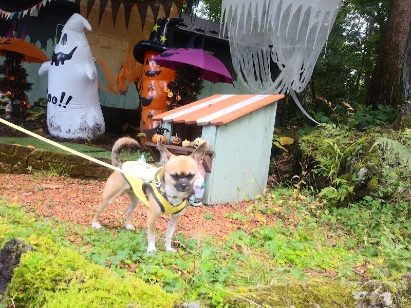 ドギーパークの写真 3