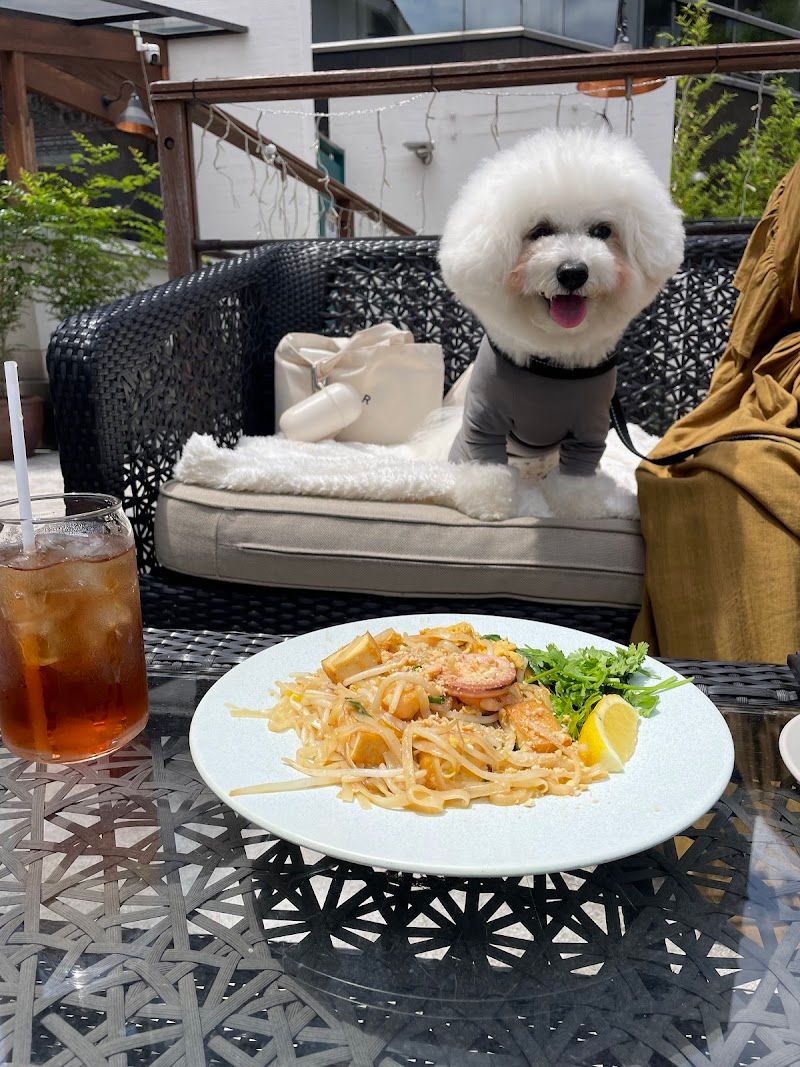 モンスーンカフェ 代官山/MonsoonCafe Daikanyamaの写真 3