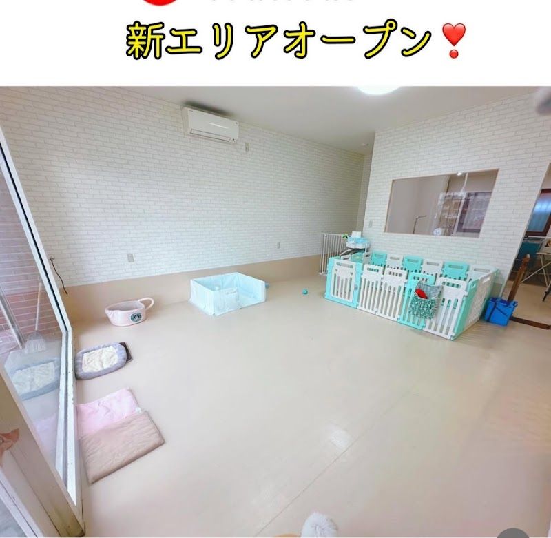 トリミングサロンＰＡＷＰＡＷの写真 3