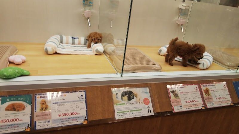 ペットプラス 名取店の写真 3