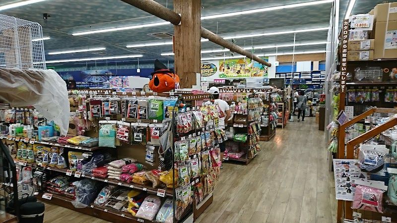 ズースクエア静岡店の写真 3