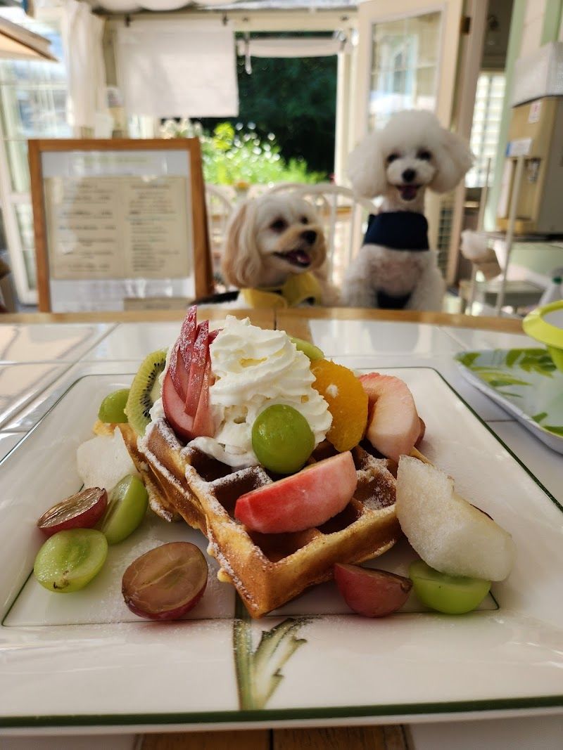 ドッグランカフェ フルールの写真 2